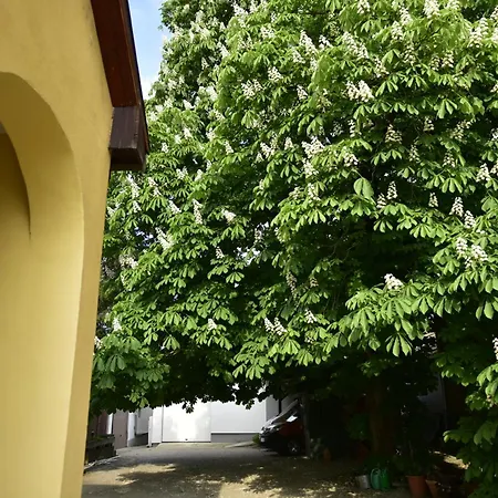 Guest house Tornacos Vendeghaz